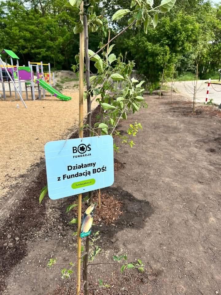 Uczniowie rozmawiają o sadzie i planują nasadzenia